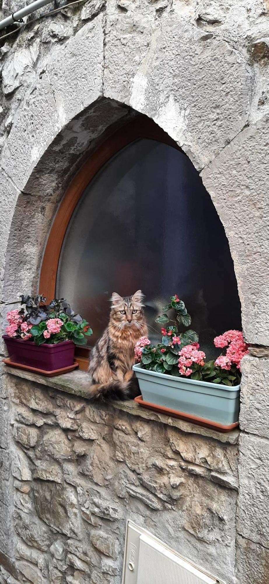 Gite Des Remparts Lucéram Esterno foto